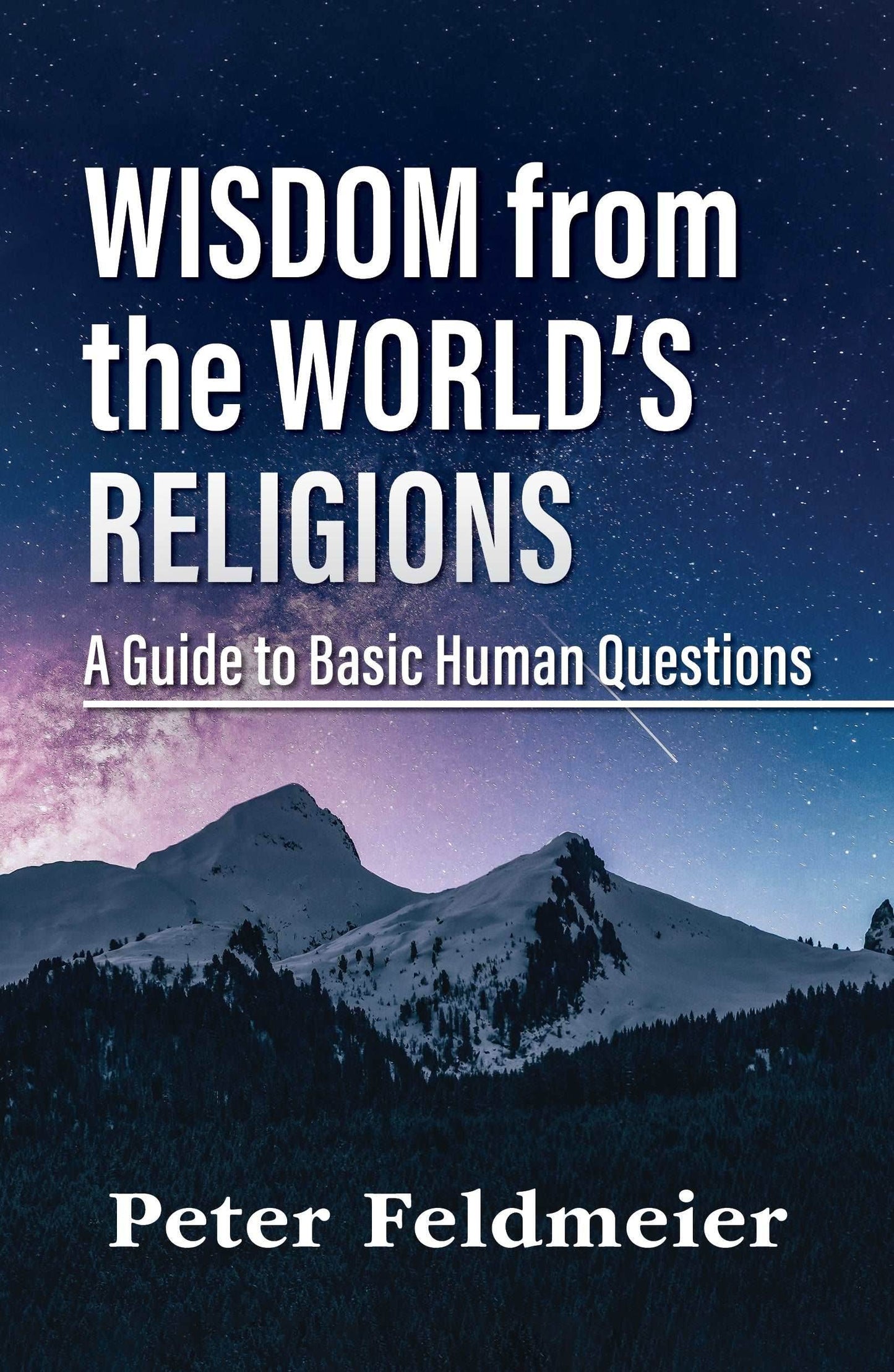 Wisdom from the World's Religions : A Guide to Basic Human Questions - Orbis Books