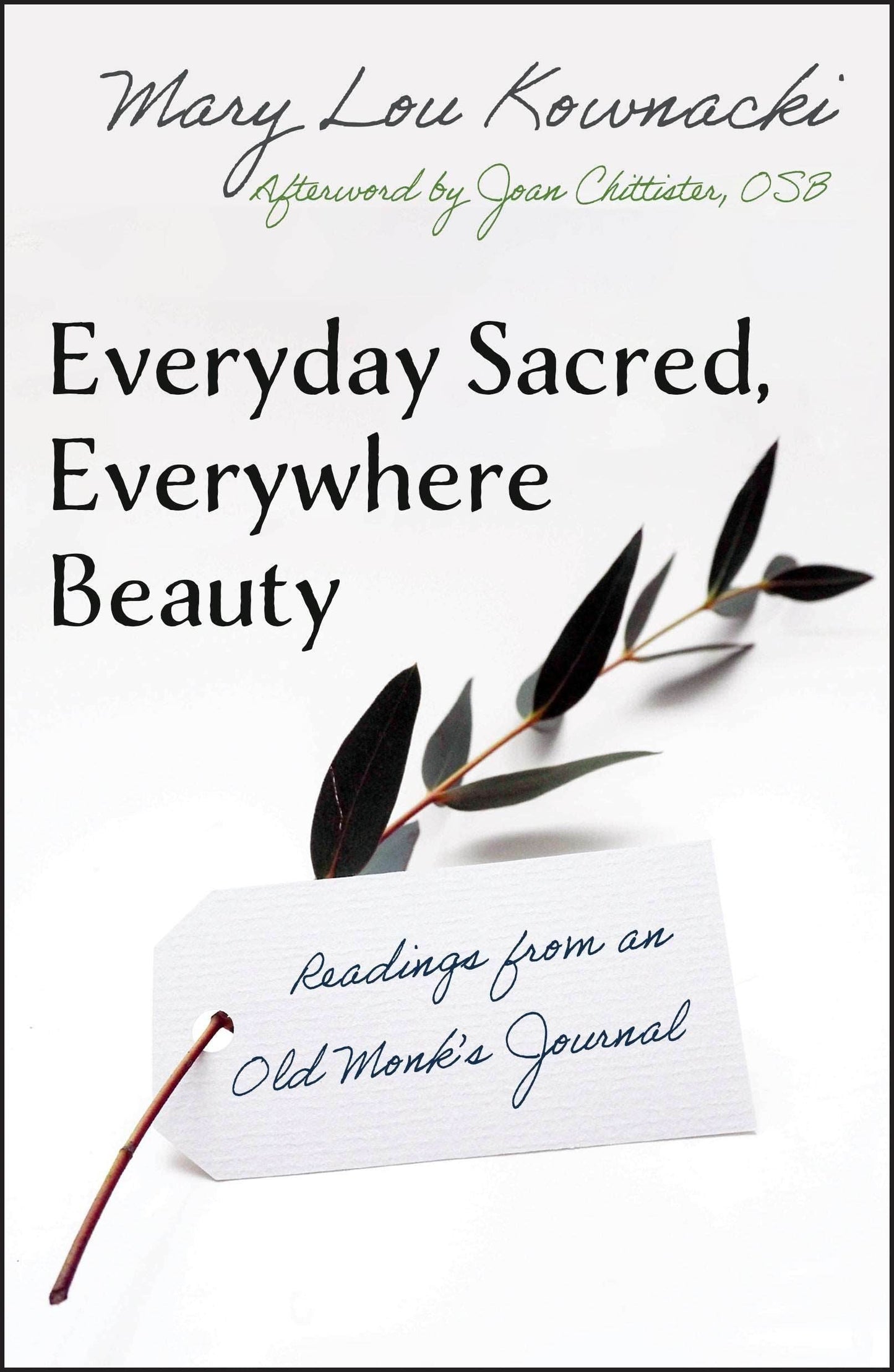 Everyday Sacred, Everywhere Beauty: Readings from an Old Monk's Journal - Orbis Books