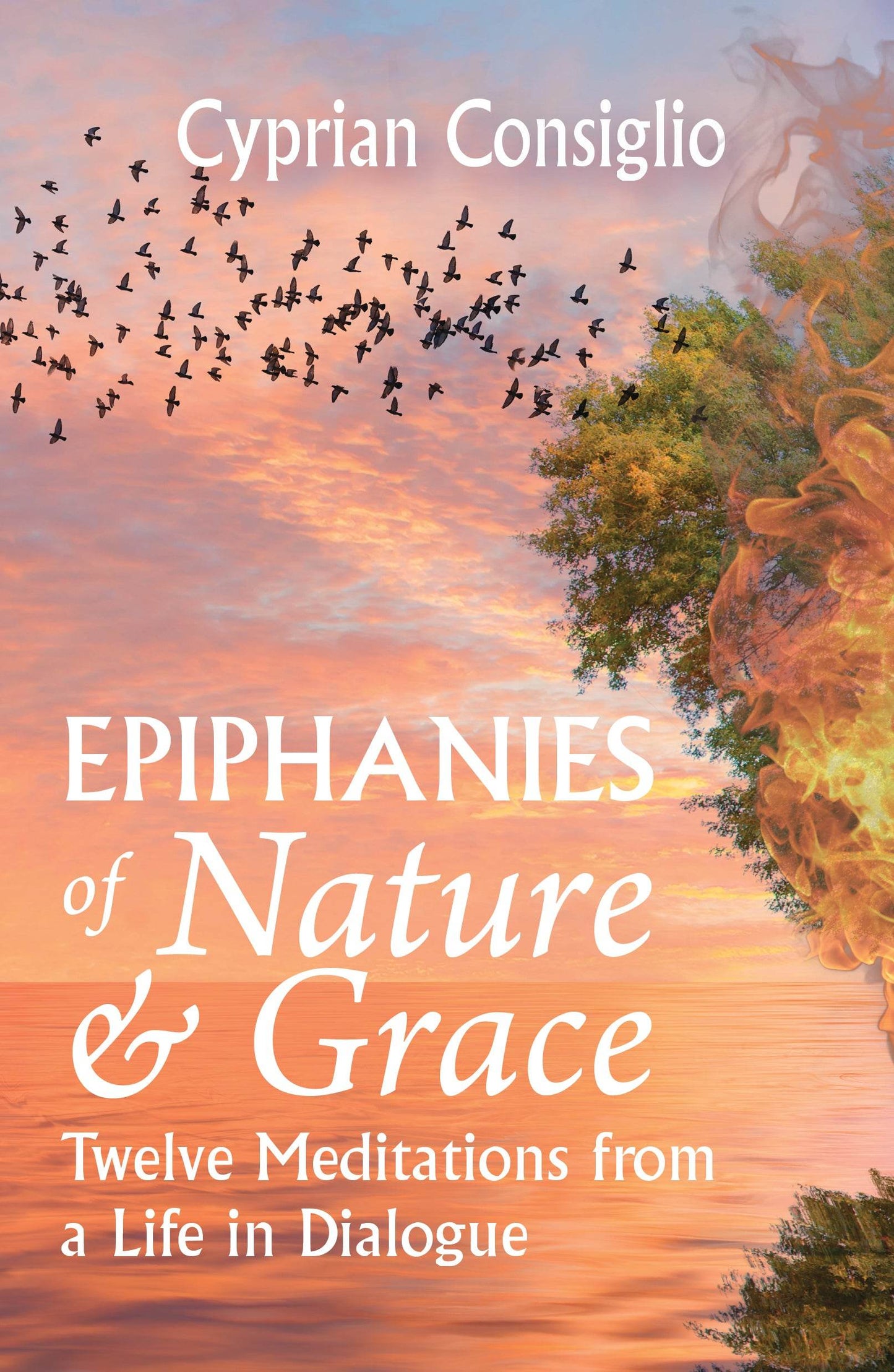 Epiphanies of Nature and Grace: Twelve Meditations from a Life in Dialogue - Orbis Books