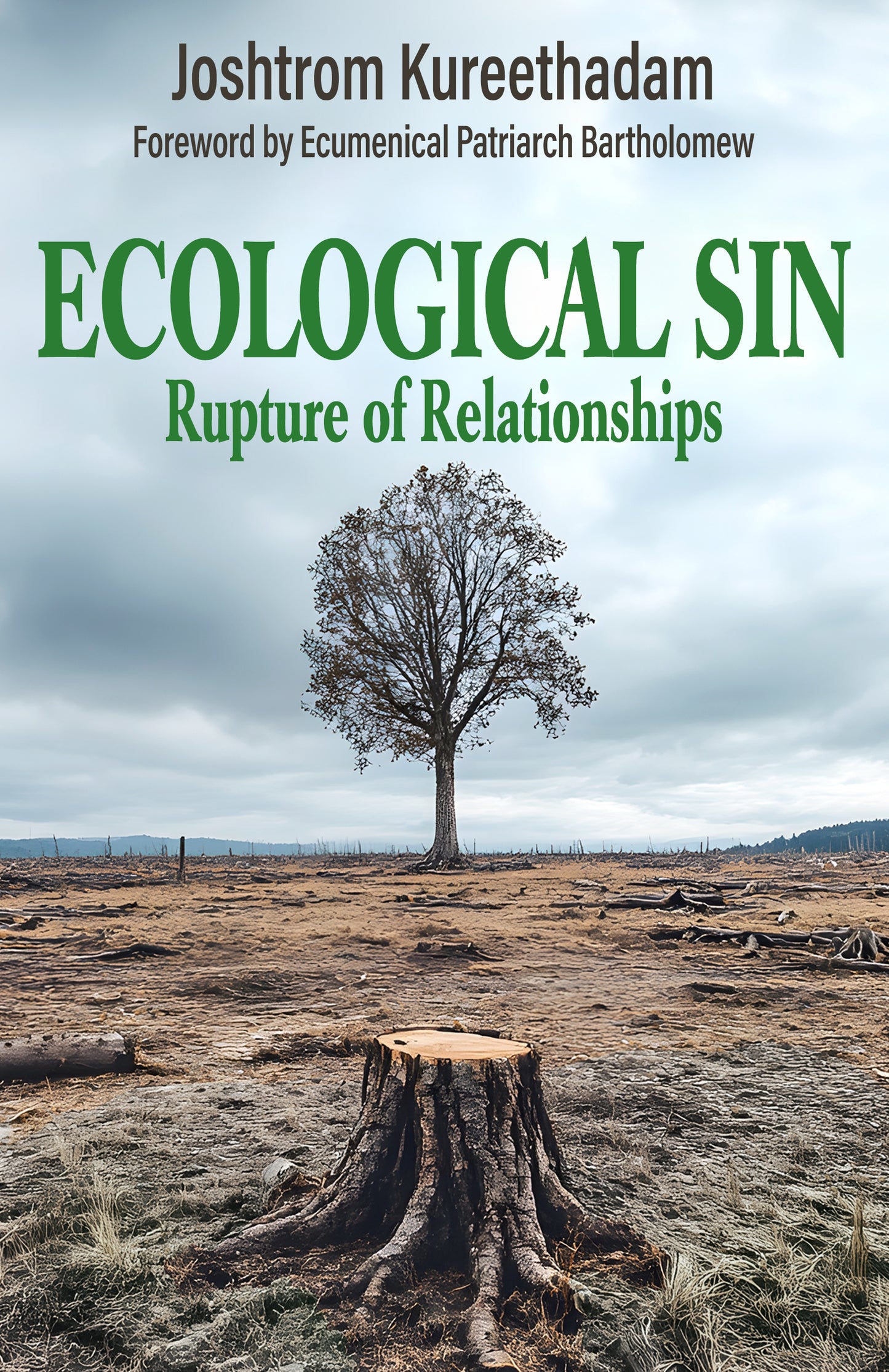 Ecological Sin: Rupture of Relationships