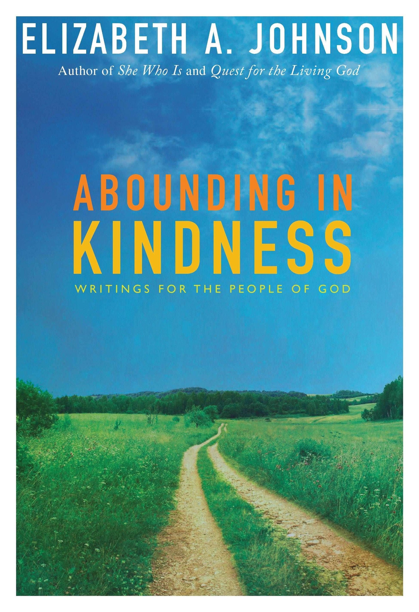 Abounding in Kindness - Orbis Books