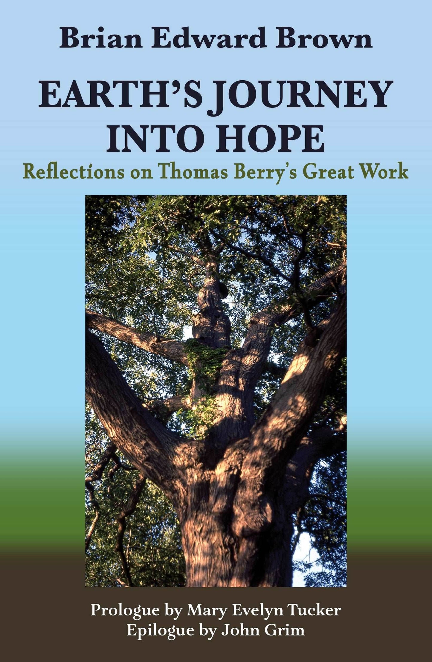 Earth's Journey Into Hope: Reflections on Thomas Berry's Great Work - Orbis Books
