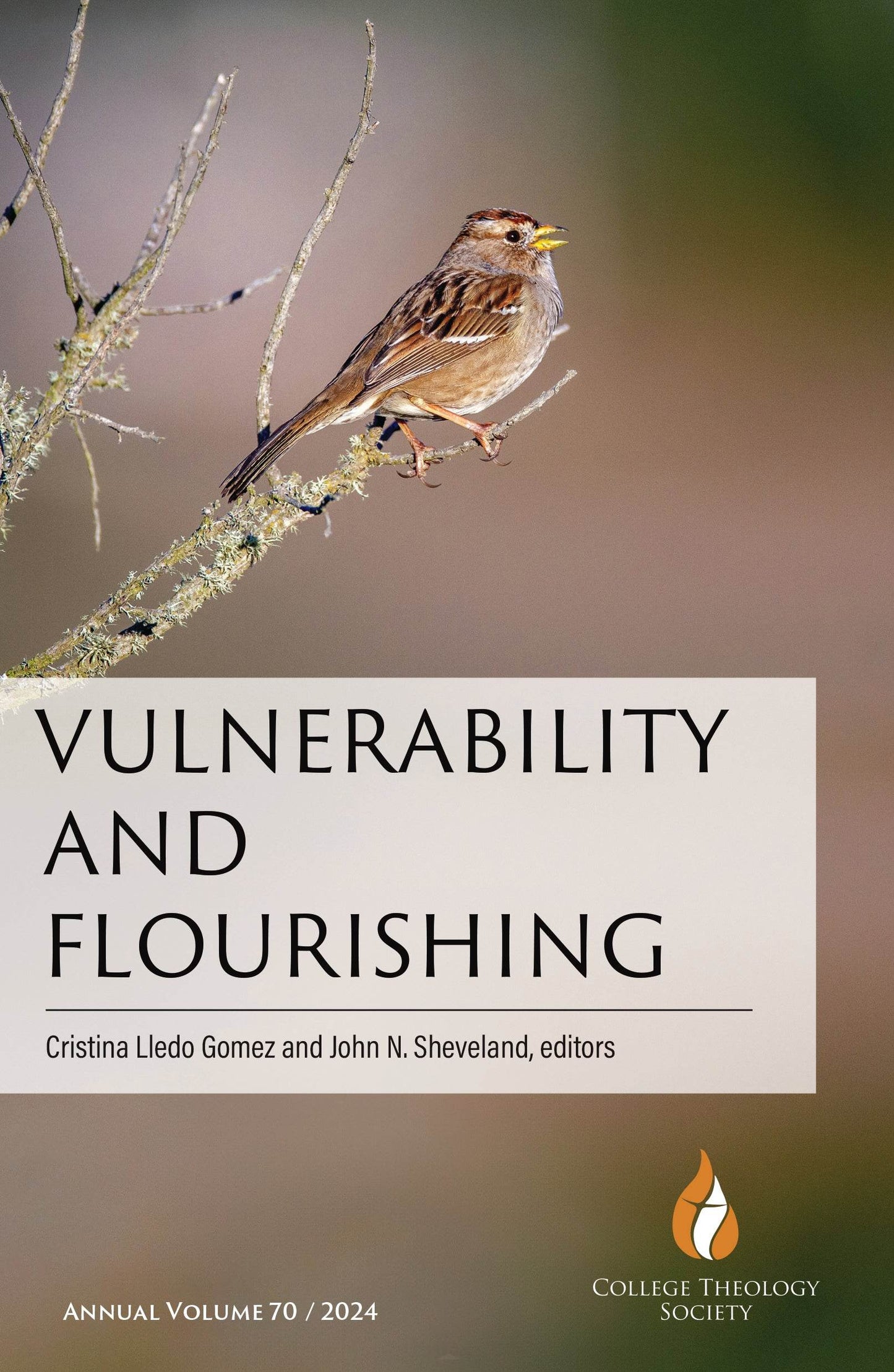 Vulnerability and Flourishing (CTS70) - Orbis Books
