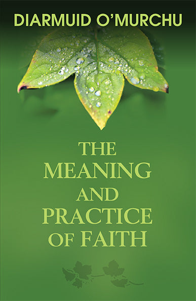 The Meaning and Practice of Faith - Orbis Books