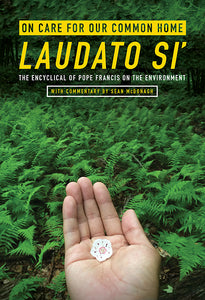 On Care for Our Common Home, Laudato Si' - Orbis Books