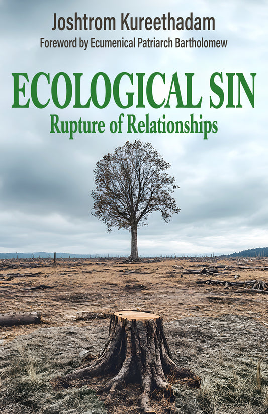 Ecological Sin: Rupture of Relationships