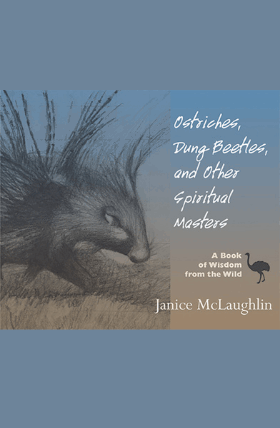 Ostriches, Dung Beetles and Other Spiritual Masters - Orbis Books