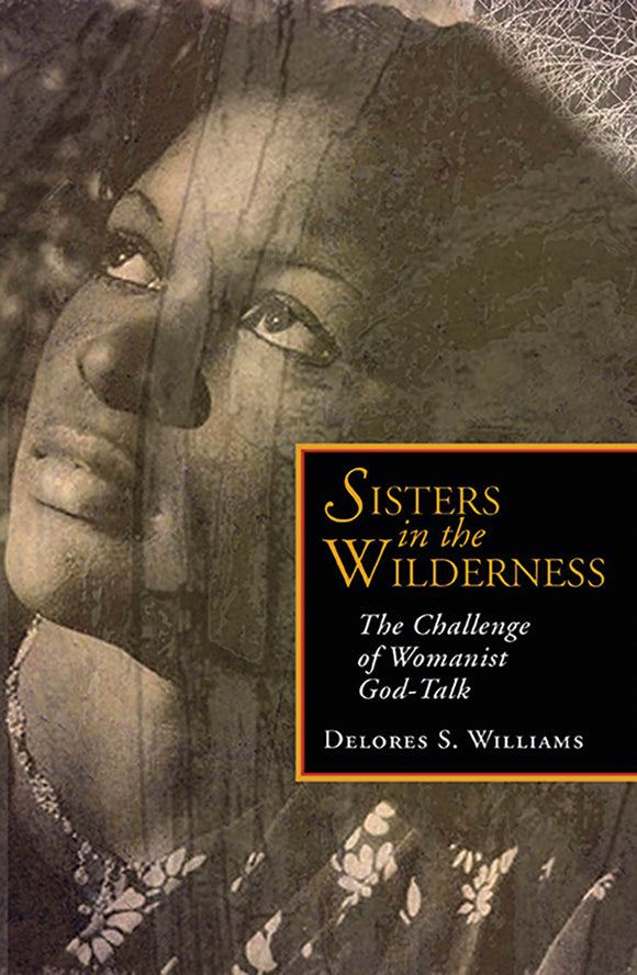 Sisters in the Wilderness - Orbis Books