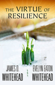 The Virtue of Resilience - Orbis Books