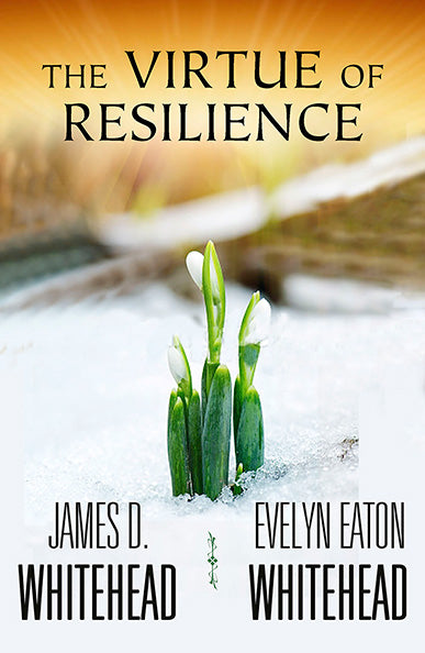 The Virtue of Resilience - Orbis Books
