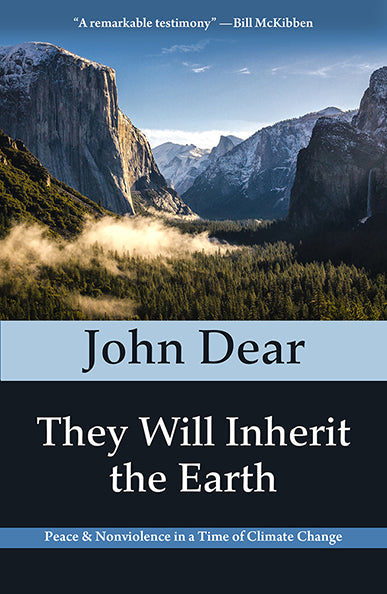 They Will Inherit the Earth - Orbis Books